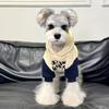 Letter Pattern Two-Legged Dog Clothing Thicken Dog Hooded Sweatshirt Warm Dog Hoodie  Autumn Winter