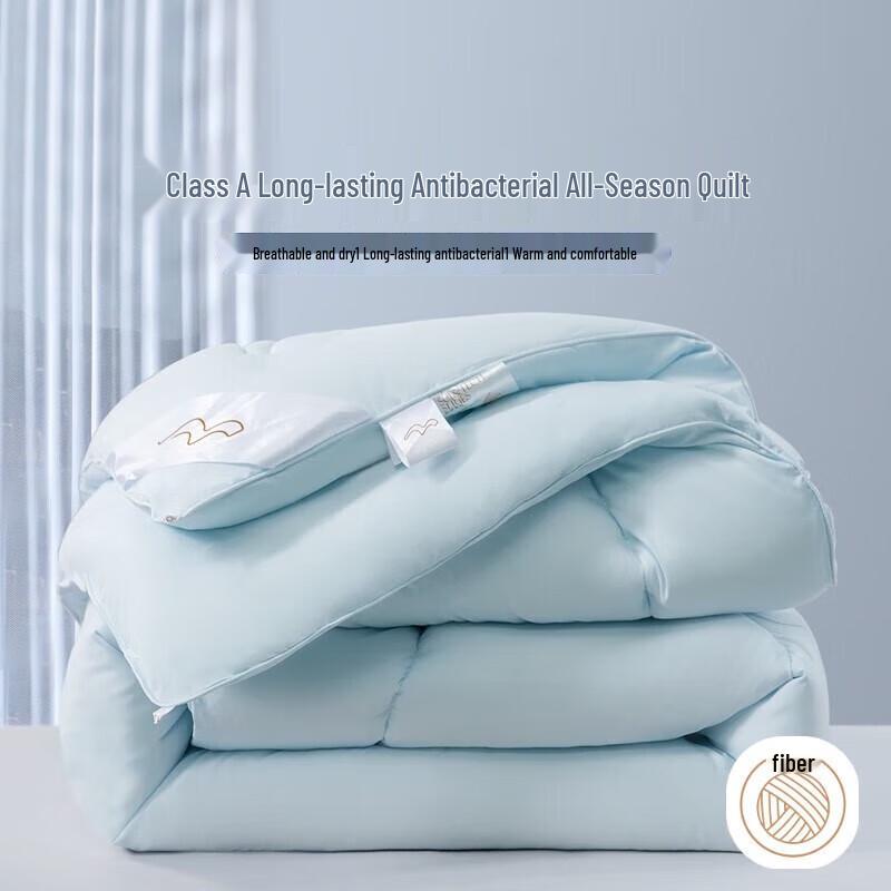 Mercury Home Textiles All-Season Antibacterial Duvet Insert