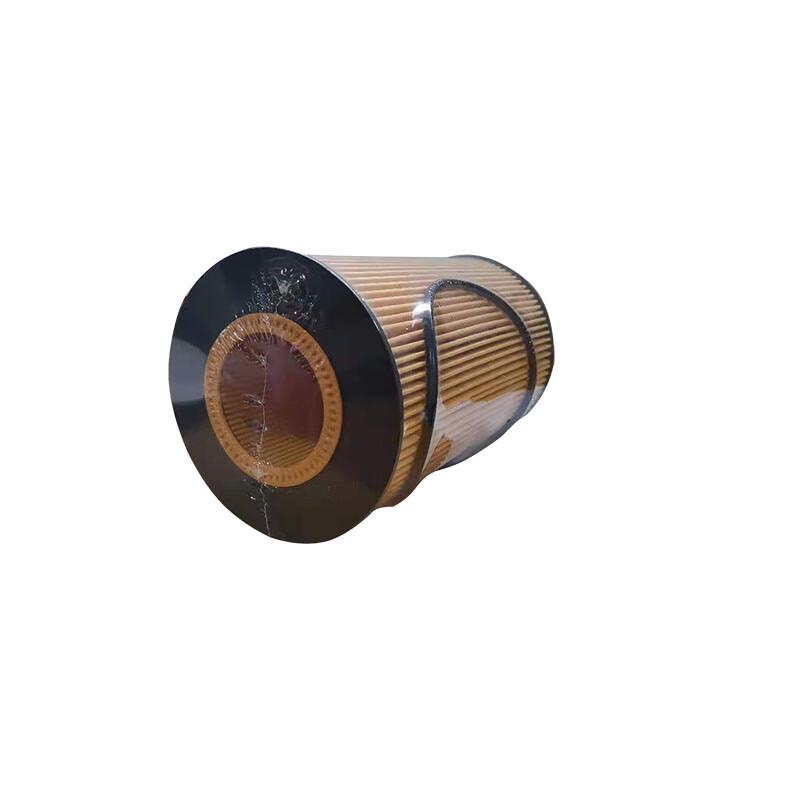 Rongjian Engine Oil Filter for HOWO Sitrak
