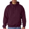 Gildan Unisex Adult DryBlend Hooded Hoodie