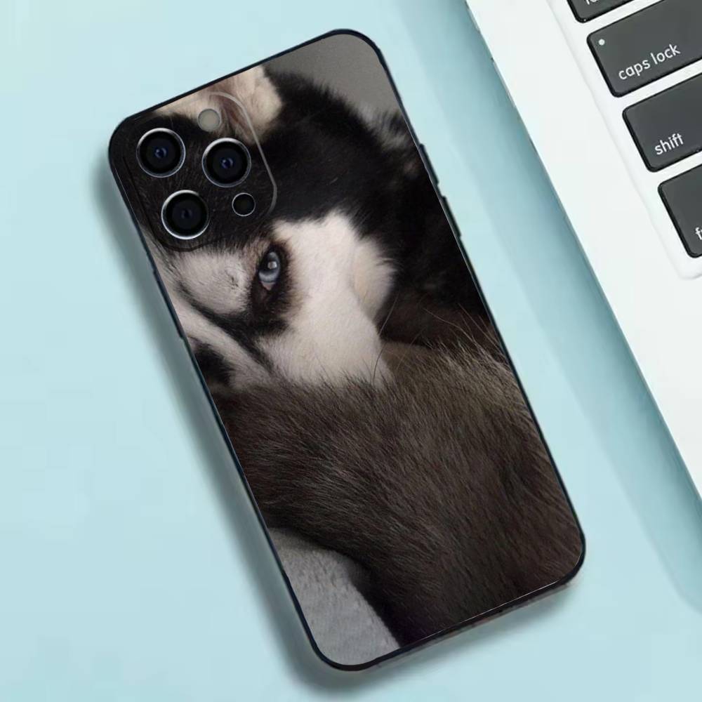 Cute Siberian Husky Dog Phone Case Silicone Soft For IPhone 17 16 15 14 13 12 11 X XR Plus Pro Max Plus