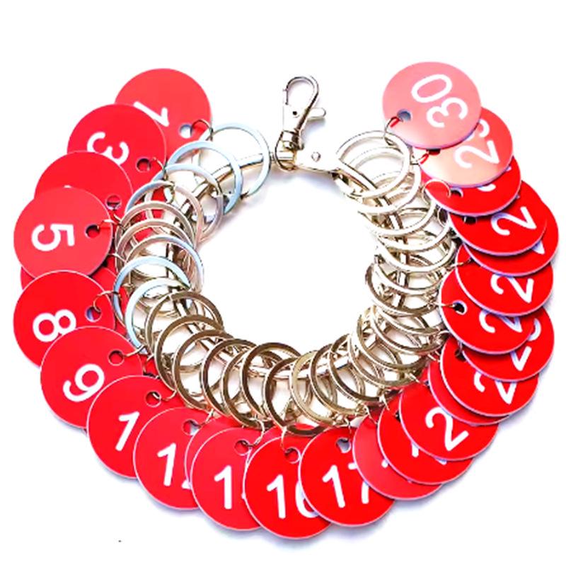 

Large Multi-Hook Keychain with Label Tag for Key Management
