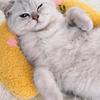 1PC Little Pillow for Cats, Ultra Soft Fluffy Pet Calming Toy Half Donut Cuddler for Joint Relief Sleeping Improve