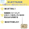 Apricity 3D Wooden Puzzle for Adults (Radio)