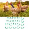 100pcs Chicken Identification Leg Bands     Clip On   Bands for Geese Pigeons Green