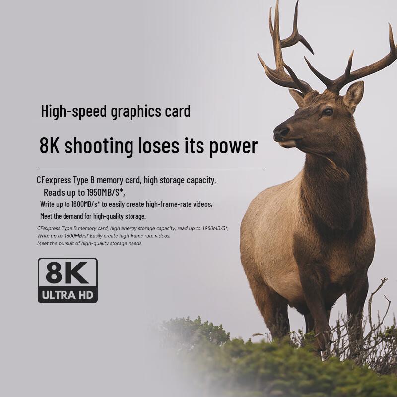 FengBiao WoSiNai CFexpress Type-B Memory Card