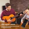 Guitar Chord Presser, Guitar Aid Chords Trainer, Guitar Accessories, Stringed Musical Instruments Guitar Learning Tool