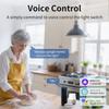 1/2 Gang Smart Switch Wifi Tuya Smart Life Light Switch Module 100-240V 16A Relay Breaker Remote Control for Alexa Google Yandex