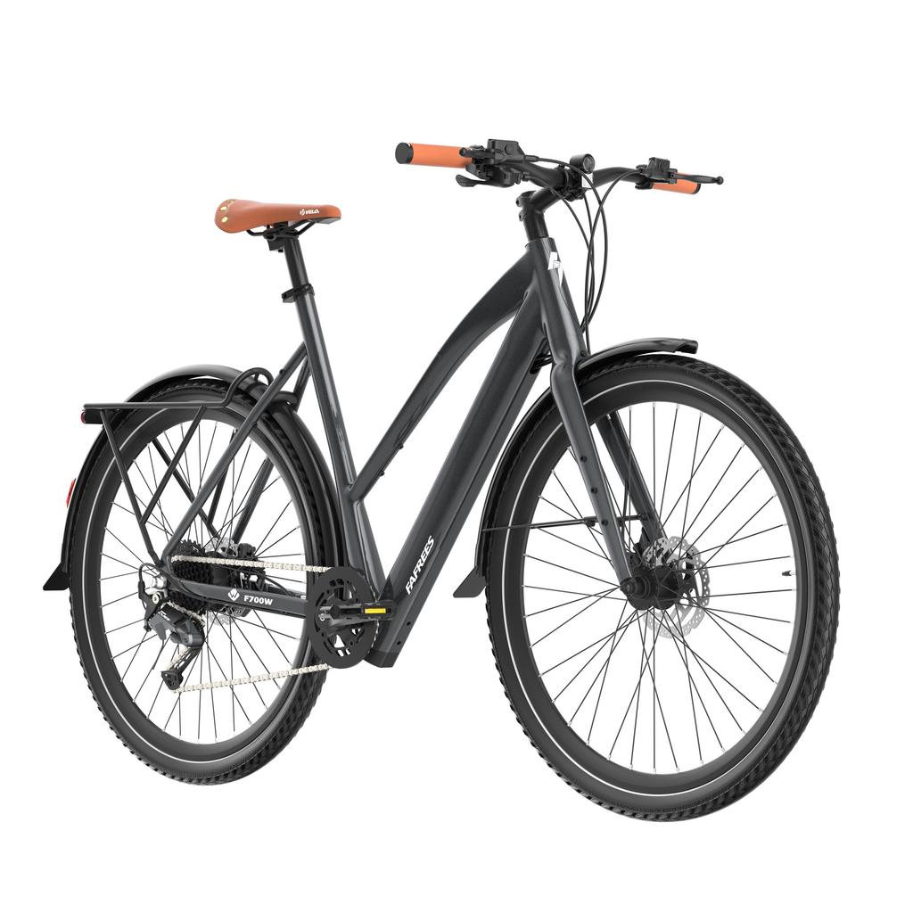 Fafrees F700W Elektrofahrrad, 250W Motor, 36V 10Ah Akku, 9-Gang