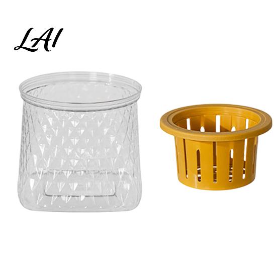 Modern Home Office Decor Self Watering Planter for Indoor Plants Transparent Hydroponic Planter Decorative Plant Growing Container Flowerpot