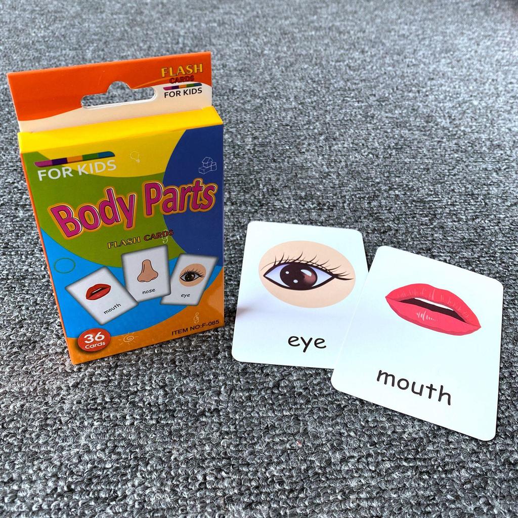 C3 Kids' Early Education Color Flash Cards - Hanging Box Set