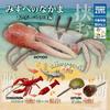 GACHA Ecological Atlas FIGURE Encyclopedia of Dangerous Organisms Lobster Tortoise Hermit Crab ACTION Figure Model Playthings