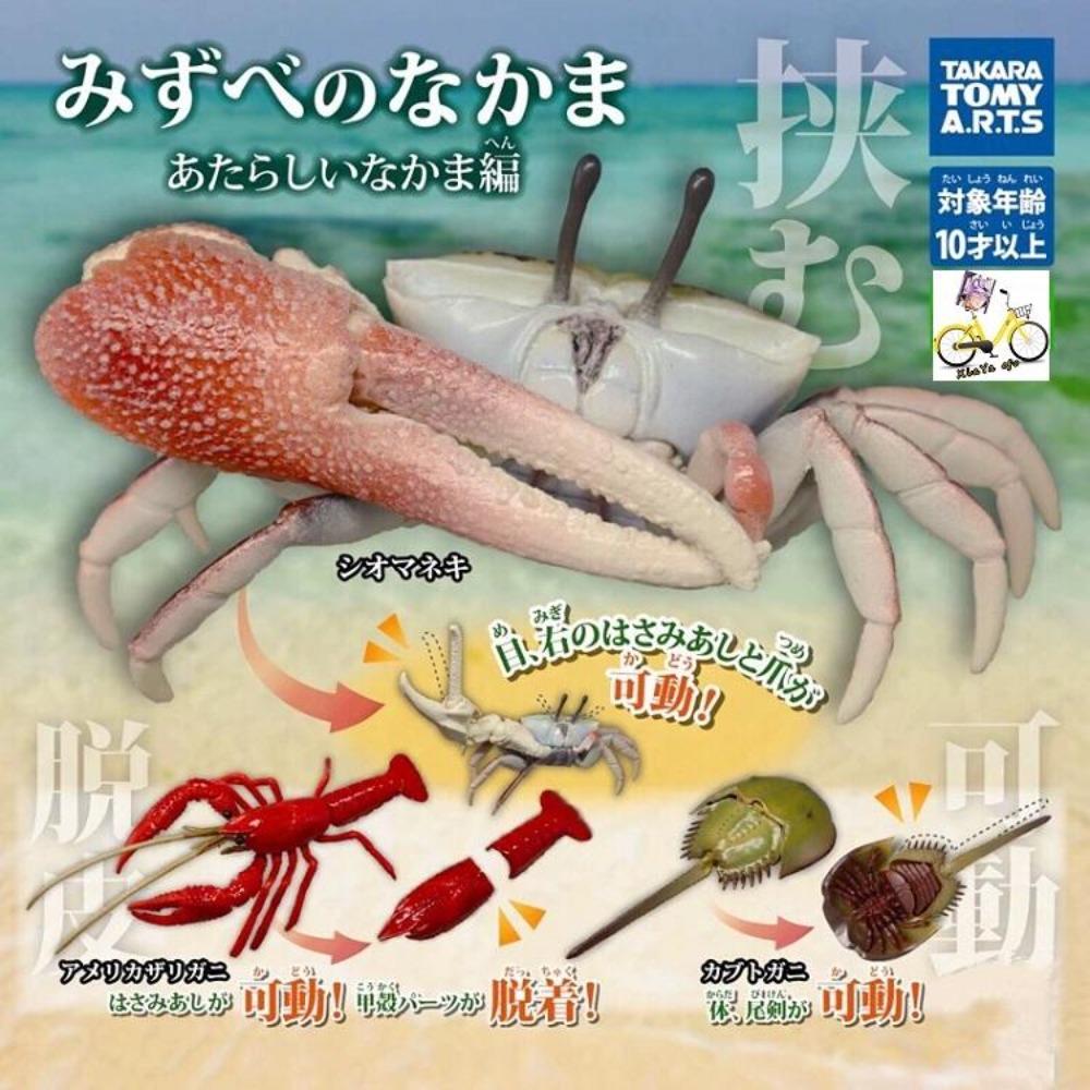 GACHA Ecological Atlas FIGURE Encyclopedia of Dangerous Organisms Lobster Tortoise Hermit Crab ACTION Figure Model Playthings