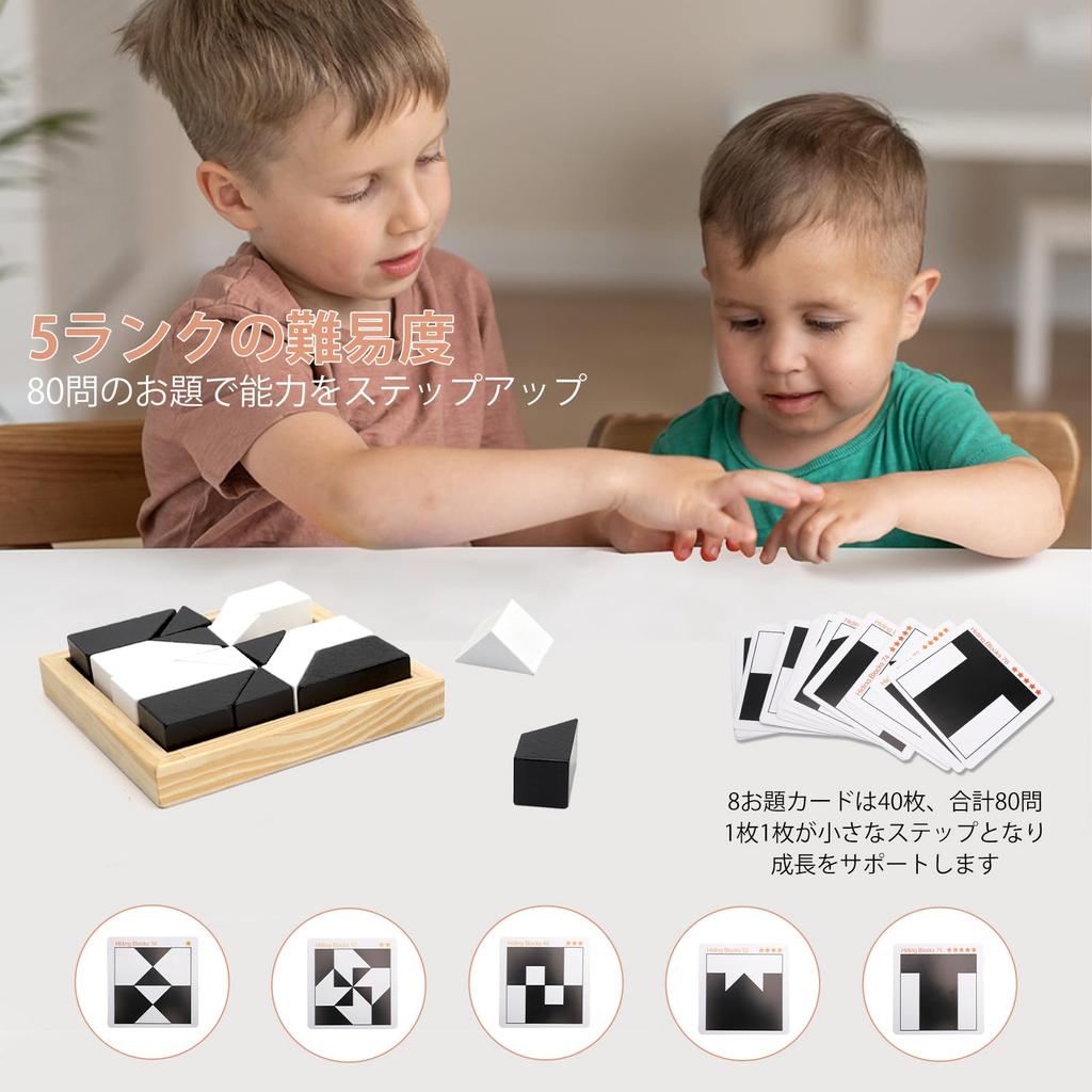 LATTCURE Block Toy, Educational Toy, Brain Training, Hiding Blocks, Puzzle, Observation Skills, Thinking Skills, 40 Question Cards, Total of 80
