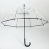 Creative Long-Handle Transparent Automatic Umbrella with White 8-Rib Curved Handle Straight Shaft Two-Person Gift Umbrella