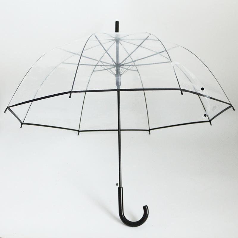 Creative Long-Handle Transparent Automatic Umbrella with White 8-Rib Curved Handle Straight Shaft Two-Person Gift Umbrella