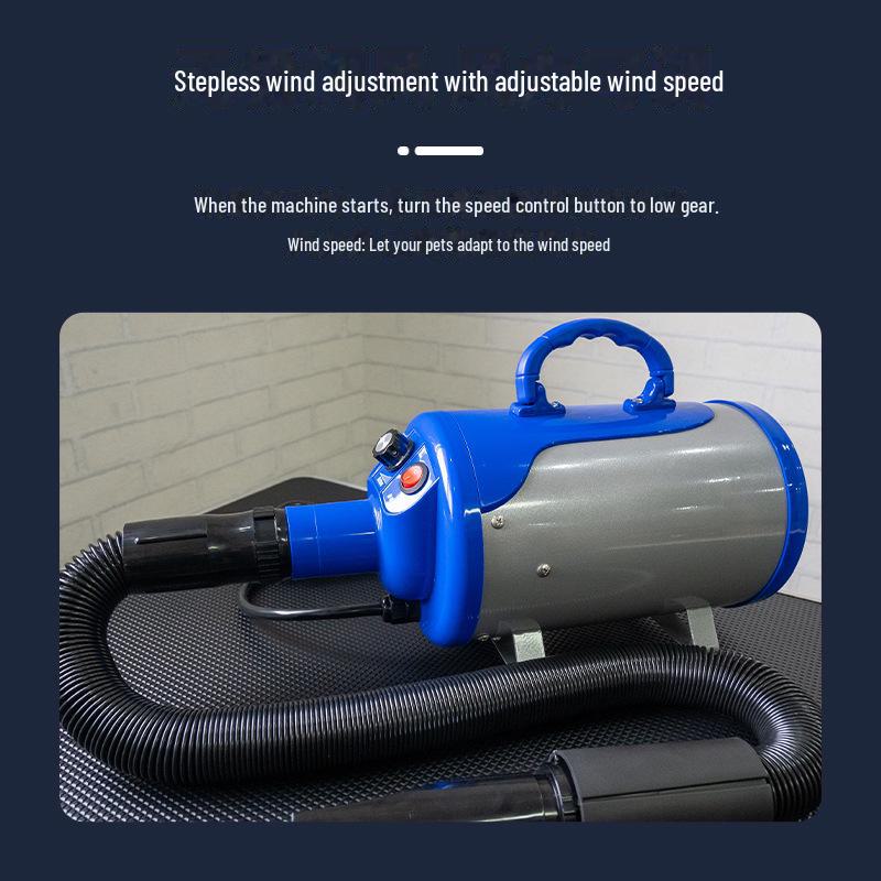 Shetland High-Power Pet Hair Dryer for Large Dogs