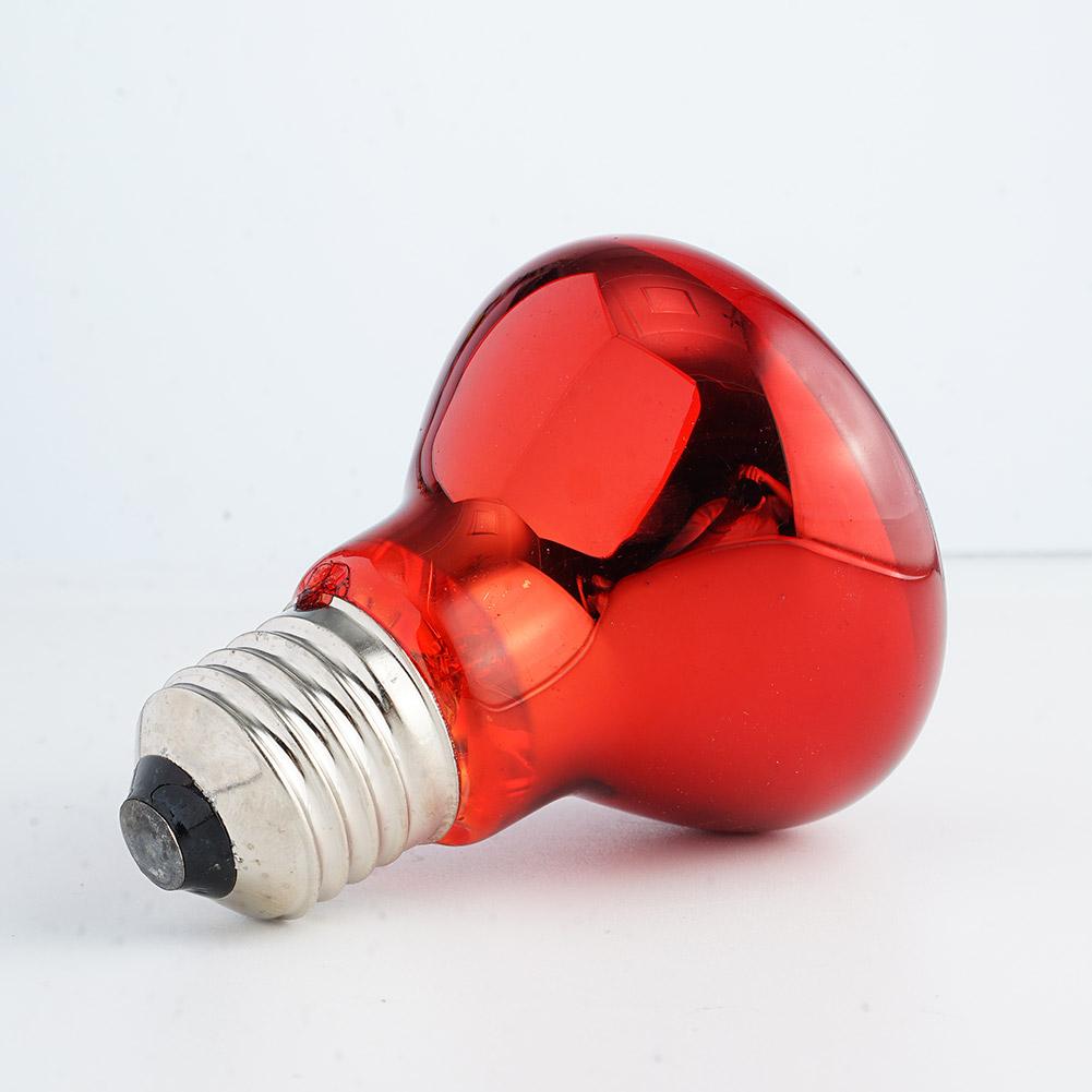 E27 Amphibian Snake Reptile Light Bulb Heat Night Light For Amphibian Snake Lamp Heat Bulb UV Light 100W 75W 60W 50W 40W 25W