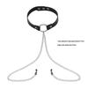 Elegant Choker with Nipple Clamps: Adult Training & Flirting Toy for Couples