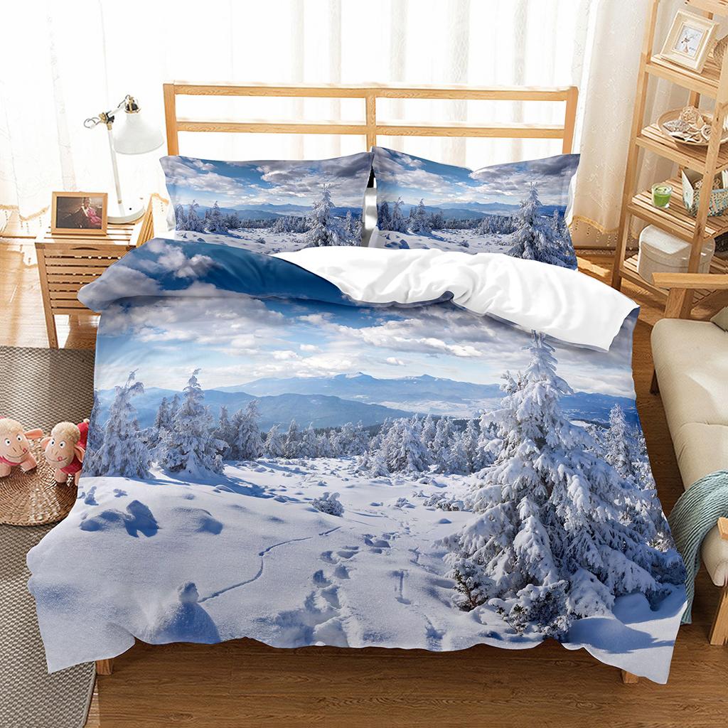 Sada povlaku na přikrývku Snowflake Zimní téma Polyesterový povlak na přikrývku Velikost Twin Full Pro Děti Dospívající Dospělé Dekorace do ložnice Ložní souprava