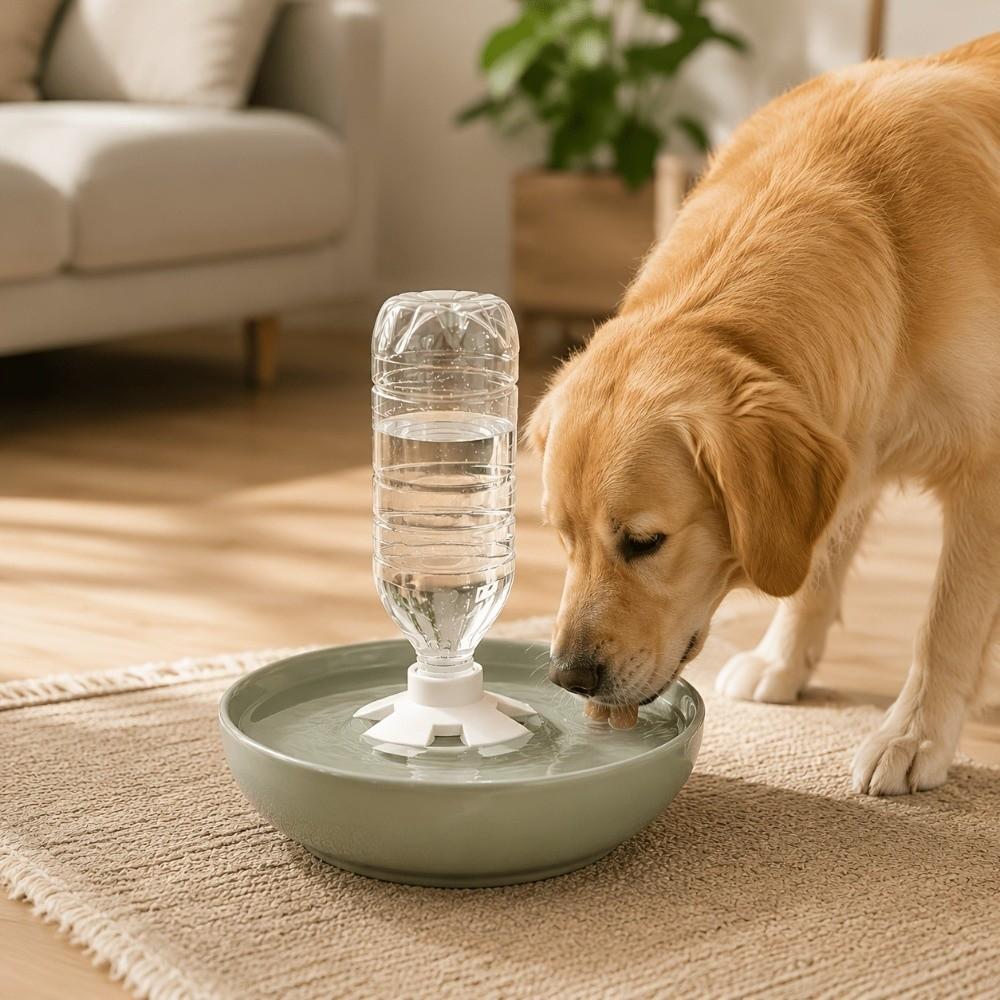 Anti-Slip Cat Water Bowl Anti Overturning Automatic Pet Feeder  Indoor Outdoor Use