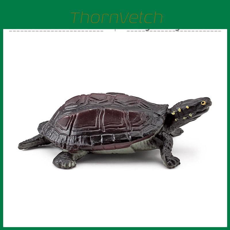 Amphibian Reptile Tortoise Pvc Figures Pack With Authentic Design For Educational And Display Use