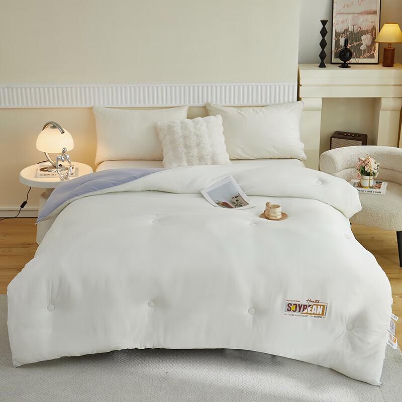 

Bijiama Cloud-Feel Washed Cotton Winter Quilt