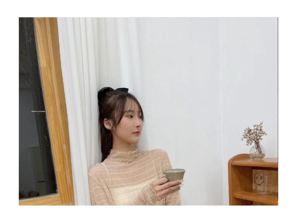 Elegant Lace Base Chiffon Shirt - Women's Autumn High-End Solid Color Top with Semi-High Collar Design