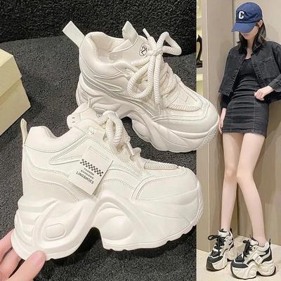 Women's Dad Shoes Style High Top Thick Bottom Increasing 9cm Height Casual Mesh Casual Sports Shoes for Women