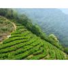 300g Fuding White Tea White Peony Tribute Eyebrow Shoumei Flower Fragrance