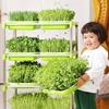 Home Garden Hydroponic Tray Nursery Paper Sprout Pot Plant Box Seed Sprouter Tray Grow Nursery Pots