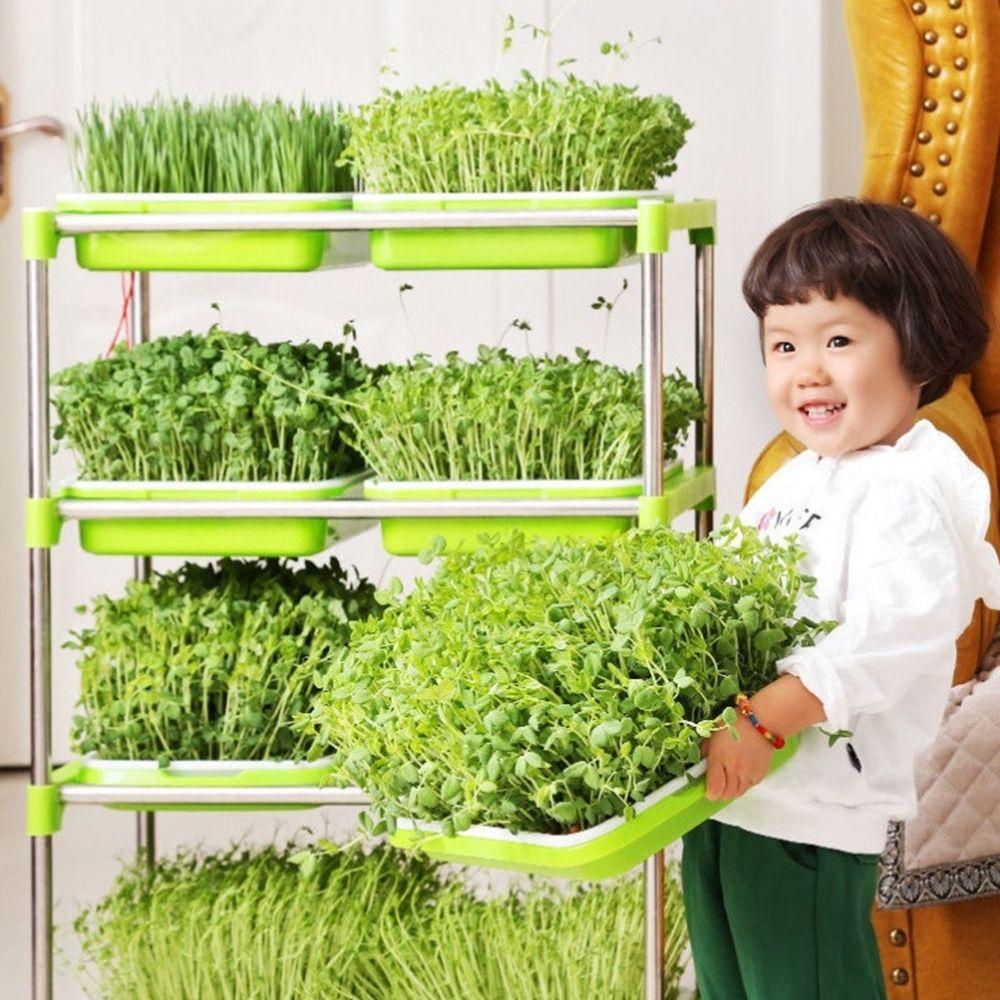 Home Garden Hydroponic Tray Nursery Paper Sprout Pot Plant Box Seed Sprouter Tray Grow Nursery Pots