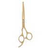 Hairdressing Scissors Set Thinning Haircut Scissors Knife Comb Hair Styling Tool Gold