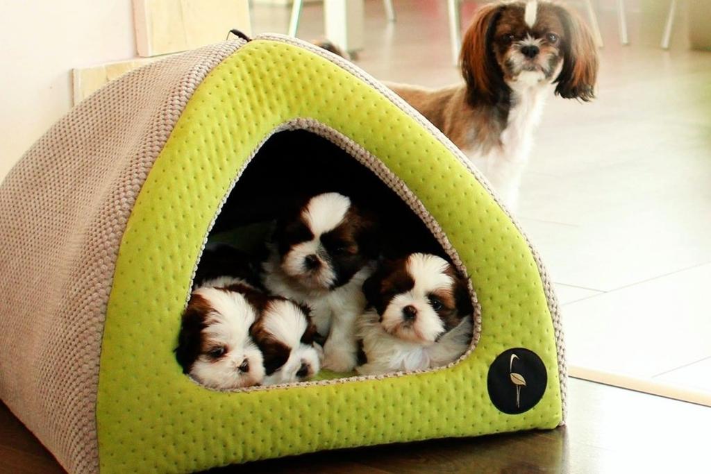 Bella Gray Quilted Dog Shed 40cm x 40cm