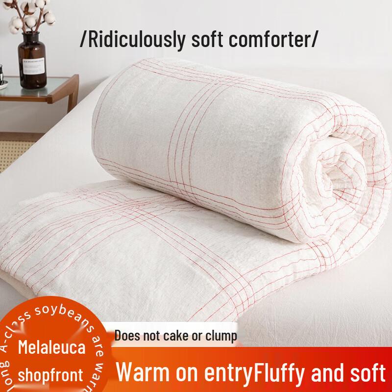 Student Winter Thickened Quilt Insert