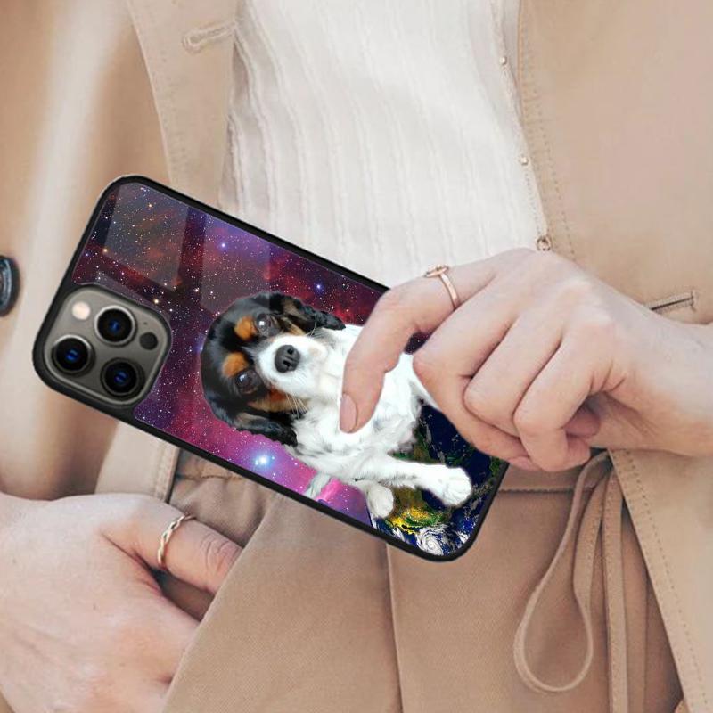 

Skater Dog In Space Magnetic Phone Case For APPLE iPhone 17 Air 16 14 13 12 Pro Max 15 Plus Wireless Charge With MagSafe Cover iPhone 13mini
