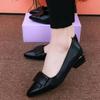 2025 autumn new single shoes flat bottom shallow mouth thick heel pointed women's shoes soft leather soft sole versatile small leather shoes work shoe