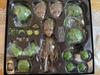 [USED] Hot Toys I Am Groot Hottoys Groot