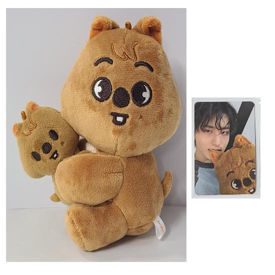 

Набор магнитных плюшевых игрушек Stray Kids Skzoo - celebrATE ( Фотокарточка из Pop Up)