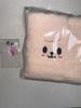 STRAY KIDS Fan Meeting Admission Gift: PAPEM Towel + Pig Keyring