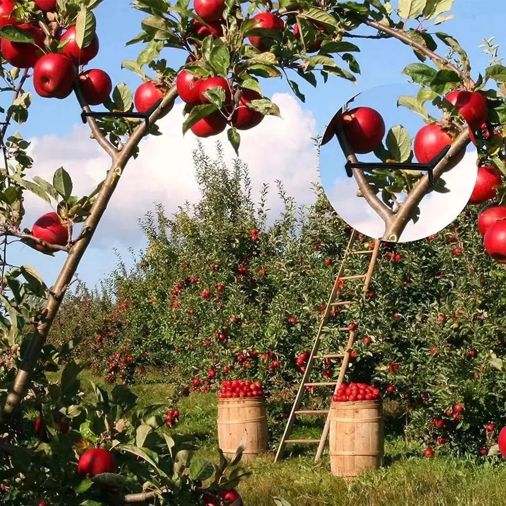 Branch Tree Spreader Fruit Limb Clips Spreaders Branches Tool Trees Trunk Bending Support Trainer Twig Gardening Fixing Bender
