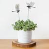 10 Pcs Decorative Stakes, Lifelike 3D Big Dragonflies PVC Dragon Fly Garden Stake for Indoor Outdoor Yard Balcony Plant Flower Pot Decor