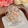 Crystal Shoes Decorations Korean Transparent Jelly Shoes Decorative Shoe Buckle Handmade DIY Beaded Flower Hole Shoe Accessories