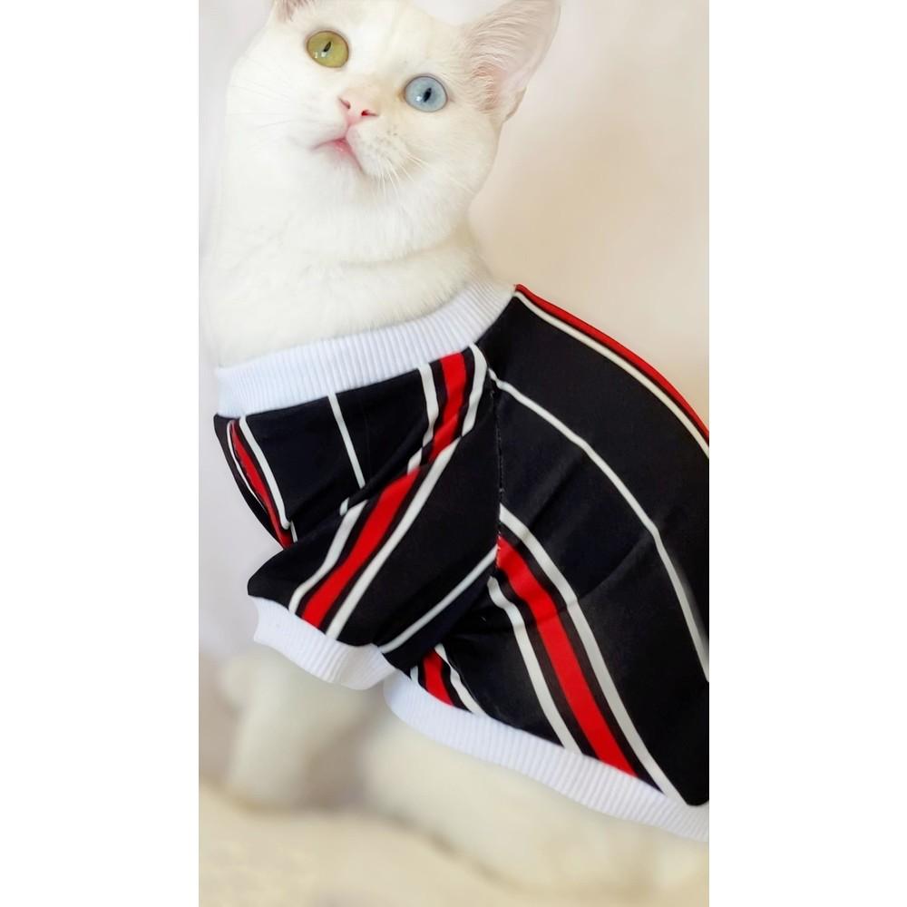 Cheap Cat Clothing and Supplies Joom
