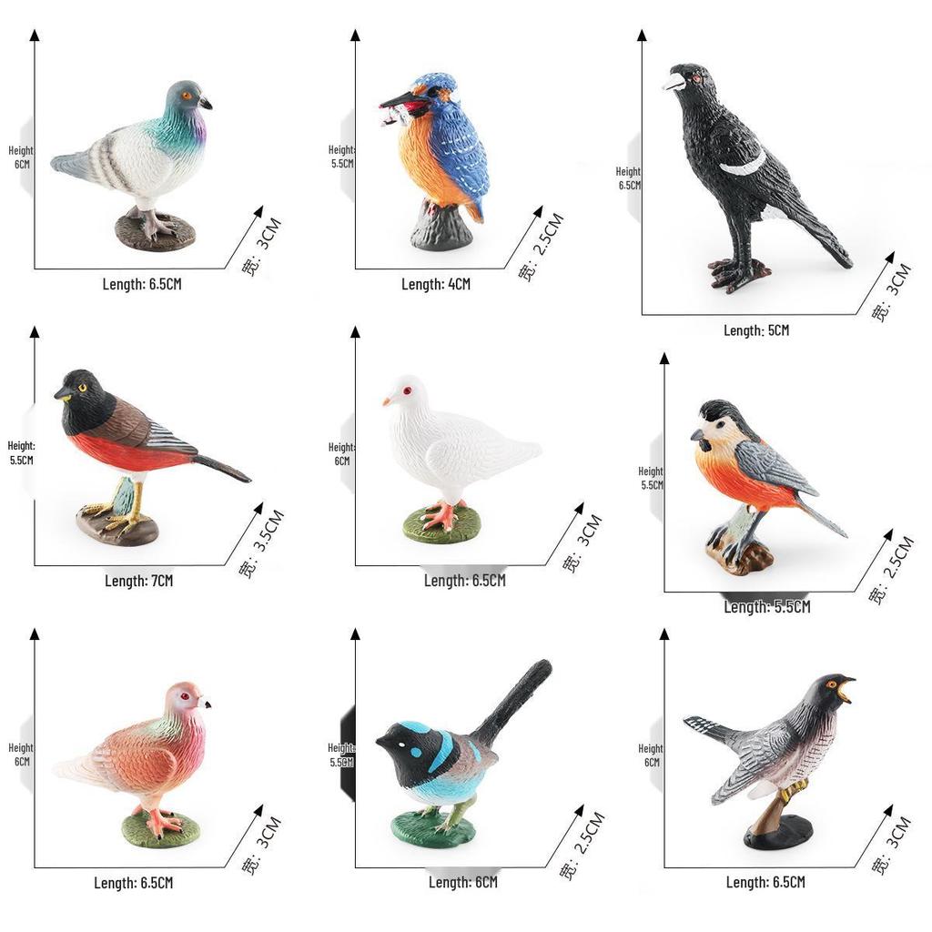 Cross-border Bird Model Ornament: Kingfisher, Magpie, Pigeon, Cuckoo, Barbet, Tit