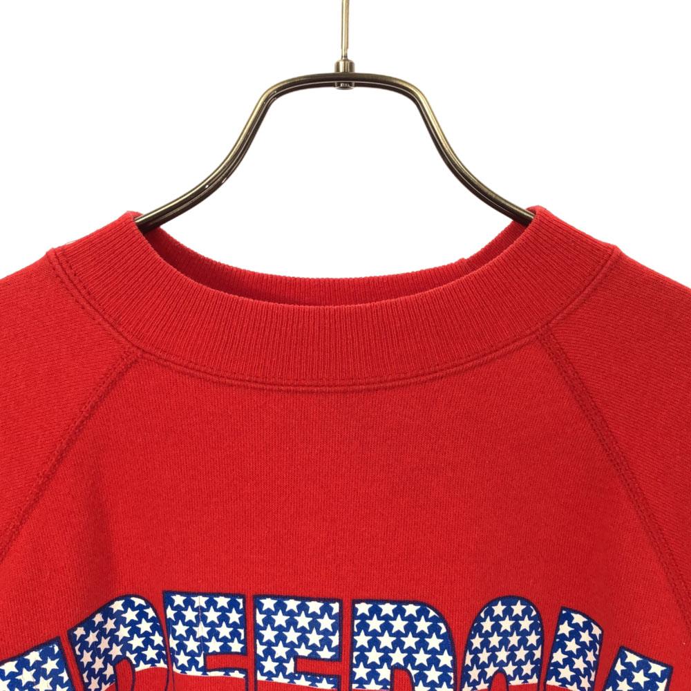 Hanes 90s Made in USA Print Long sleeve trainer L Old Vintage Sweatshirt Men's Used