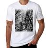 Carving Shadows into an Anemic Sky TShirt High Elasticity Sports Tee Shirt