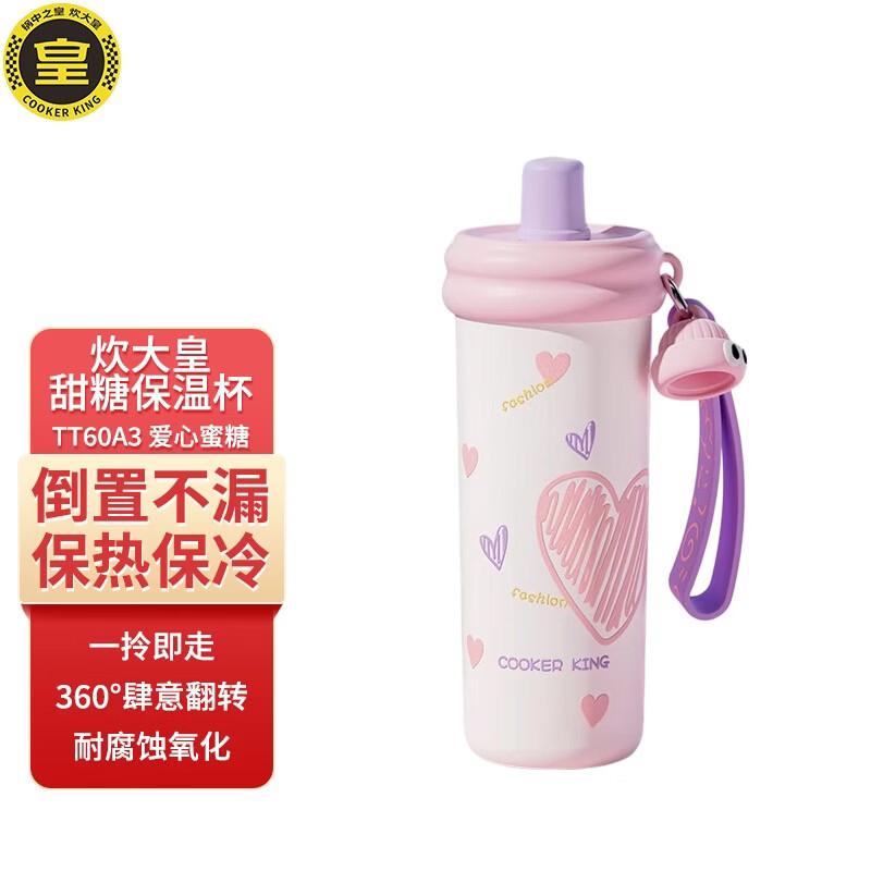 COOKER KING 600ml Insulated Straw Water Bottle