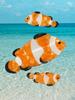 Sum1S Nemo Hair Clip + Clip Set - Coucou Suzette