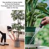 Transparent Plant Water Remover Detachable Water Pumping Processor  Indoor Plant